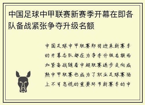 中国足球中甲联赛新赛季开幕在即各队备战紧张争夺升级名额